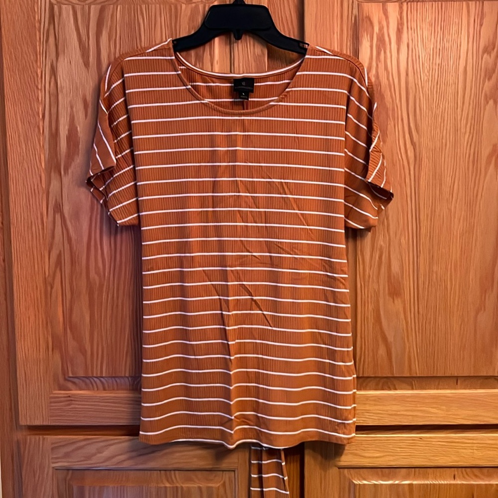 Burnt Orange and White Striped Top